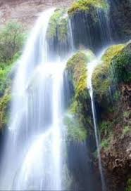 AL-TERMIZIY QADIMDAN YASHNAGAN DOYIRLARGA SAYOHAT!