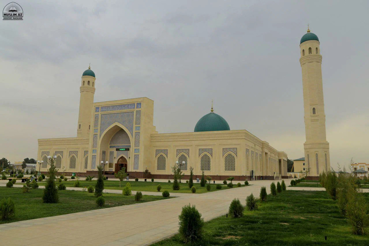  Toshkentdan-Samarqand Qashqadaryo Surxondaryo sangardakga sayohat!